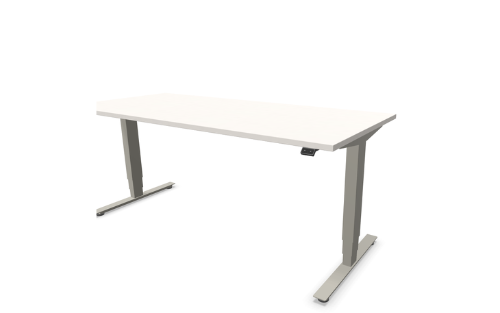 Angebot 161
