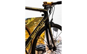 Angebot 296