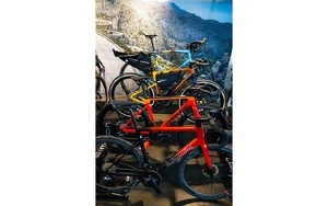 Angebot 296