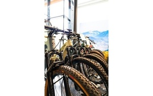 Angebot 296