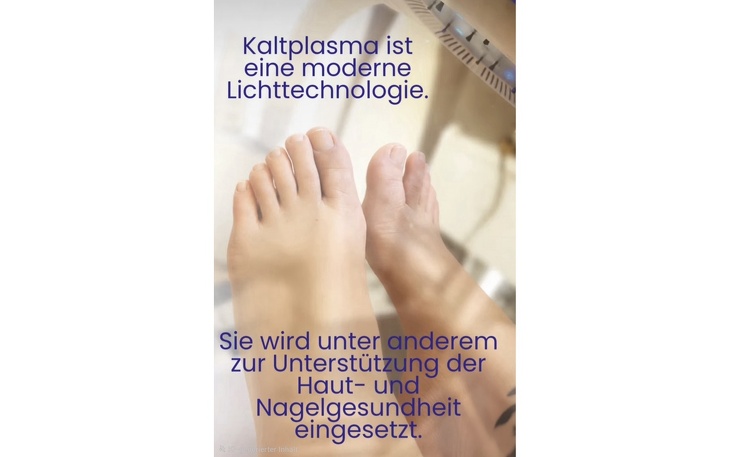 Angebot 330
